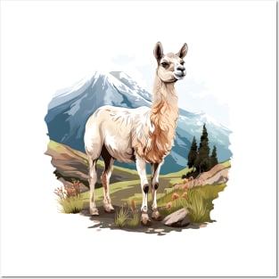 Lama Lover Posters and Art